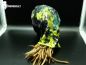 Preview: Dread tube - nebula dreadtube, dreadtube, dread headband, drealocks rule, tube, awesome tube, dread tuch, schlauch tuch dreadlocks, dreadlocks zusammenbinden, dread accessories, dread schlauch schaal